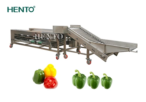 Máquina clasificadora de frutas: solución de clasificación automatizada para ...
