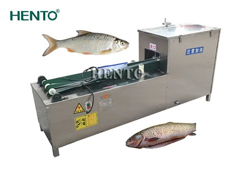 Introducción a la máquina evisceradora de peces pequeños
