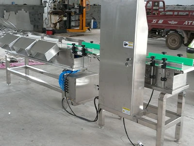 Chicken Grader2 Chicken Grader2