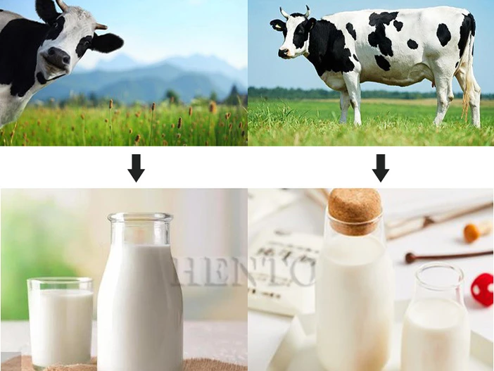 Vacuum milking machine Vacuum milking machine